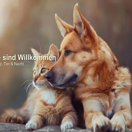 Ferien Suedharz Szálloda 3*