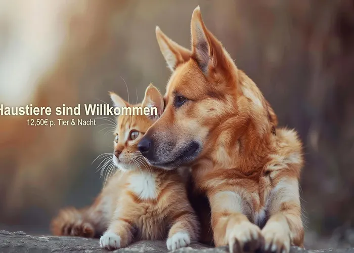 Ferien Südharz Hotel 3*