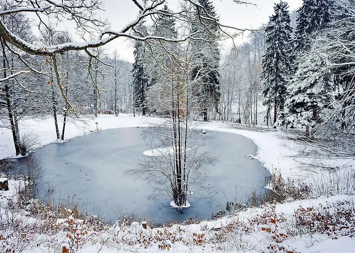 Ferien Suedharz Hotel Sülzhayn